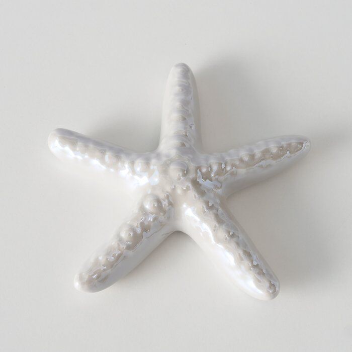 Einzelbild-JaxUbeX0-large Seestern Mylva 11cm hellgrau