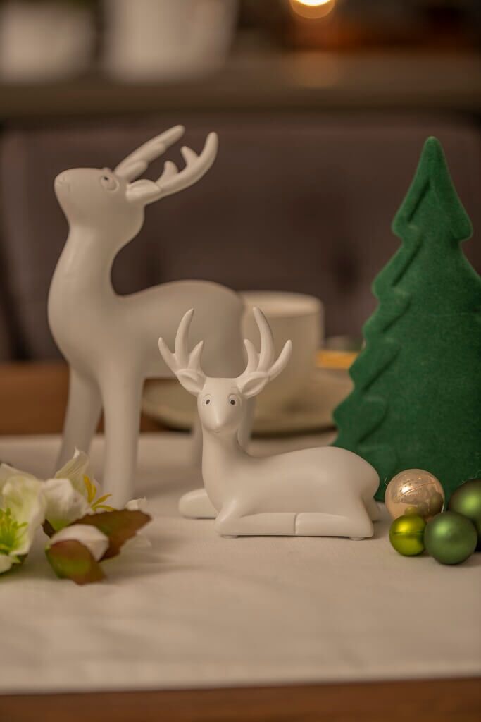 Hirsch Junus 21cm Blick nach oben