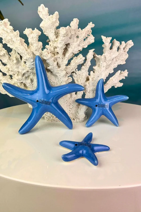 Seestern Mirana 8cm blau