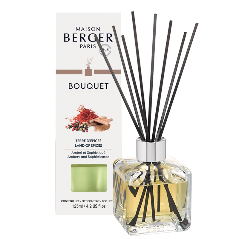 006859_PACK-BQ-GLACON_TERRE-D-EPICES_800X800 Würzige Welten Raumduft Diffuser