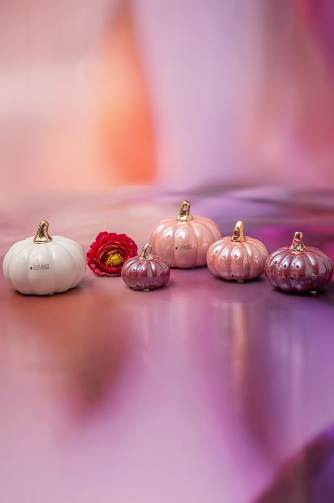 boglia-kuerbis-kollektion-1 Minikürbis Boglia 8cm cremeweiß