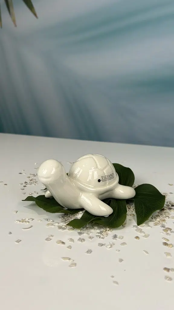 Schildkröte Mattis cremeweiß 10cm Schildkröte Mattis cremeweiß 10cm