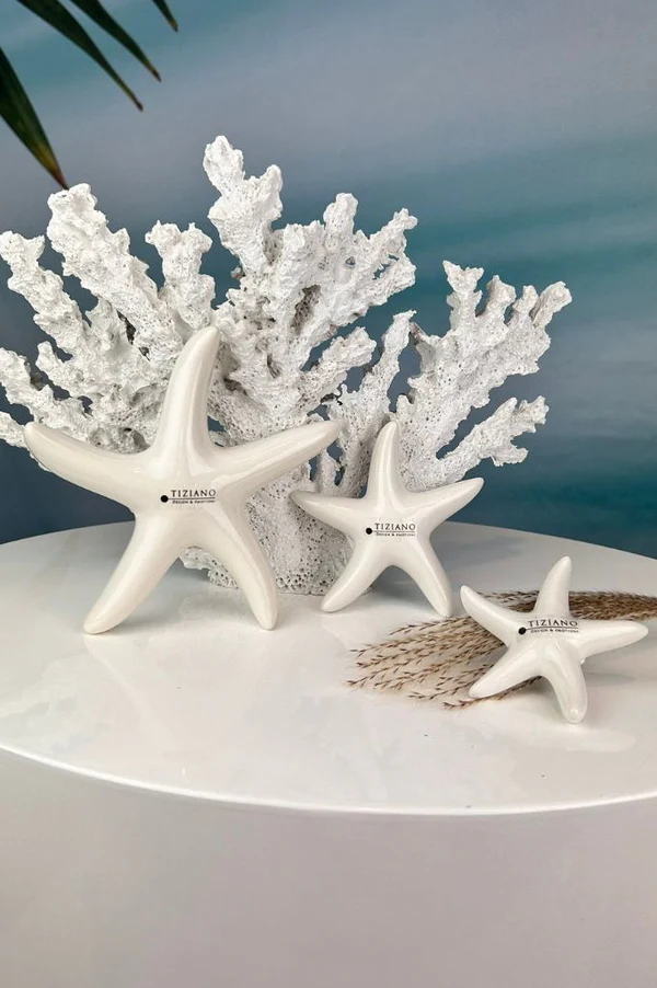 Seestern Mirana 11cm cremeweiß