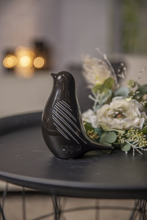 Vogel Tessa 13cm schwarz