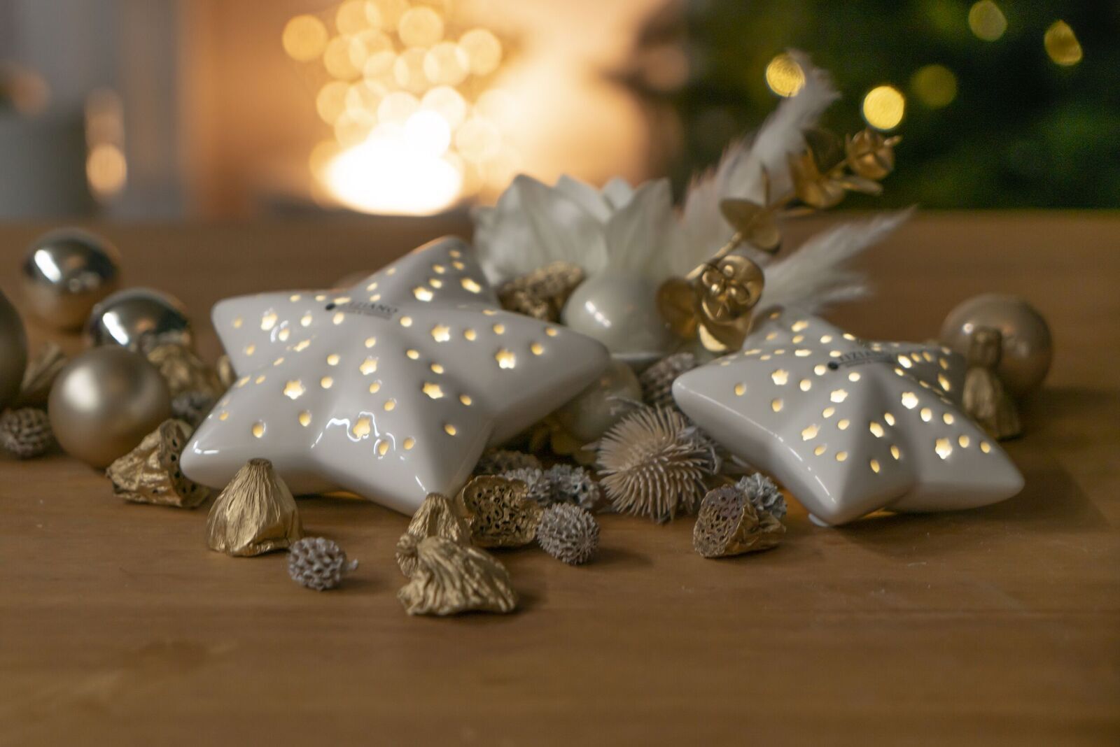 _DSC8476 Stern Lazio 13cm liegend cremeweiß