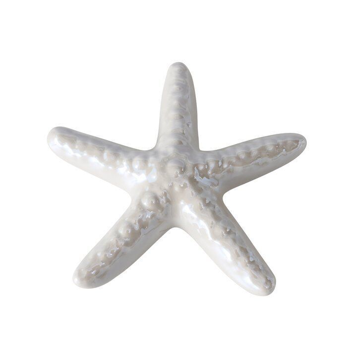 Freisteller_divers-9nMj2Rbi-large Seestern Mylva 11cm hellgrau