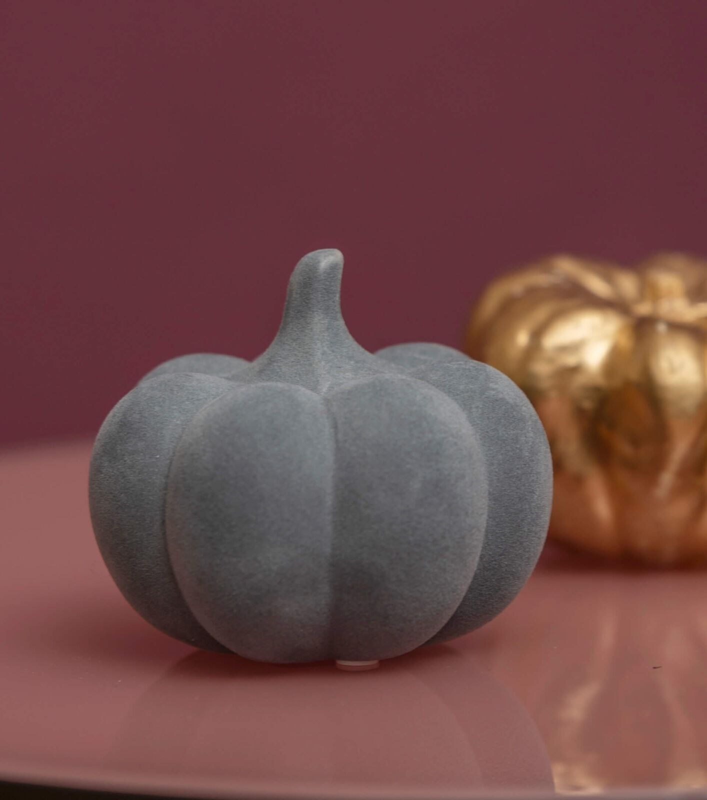 Kürbis Koba flach grau 9cm