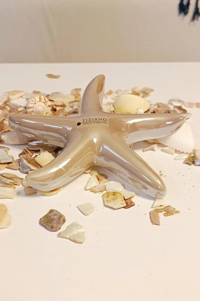 seestern-mirana-glatt-sand-gross Seestern Mirana 16cm sand