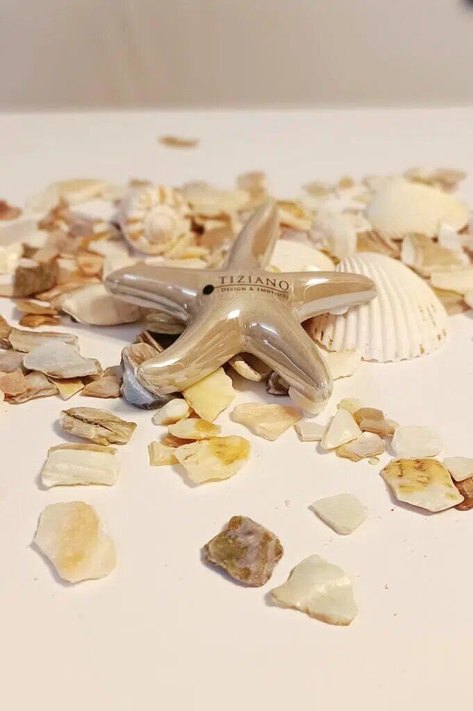 seestern-mirana-glatt-sand-klein Seestern Mirana 16cm sand