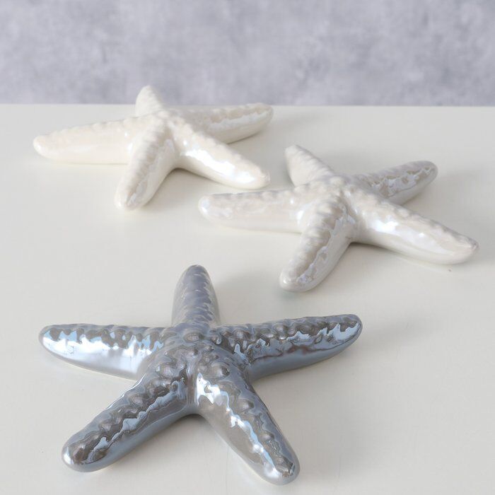 Ambientebild-BBJ8B_9l-large Seestern Mylva 11cm hellgrau