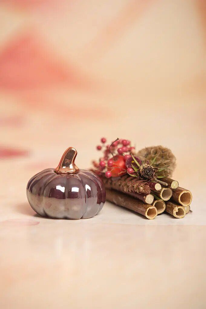 boglia-kuerbis-red-plum Minikürbis Boglia 8cm red plum