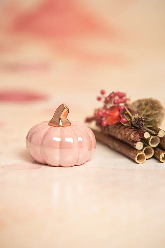 boglia-kuerbis-glory-pink Minikürbis Boglia 11cm glory pink