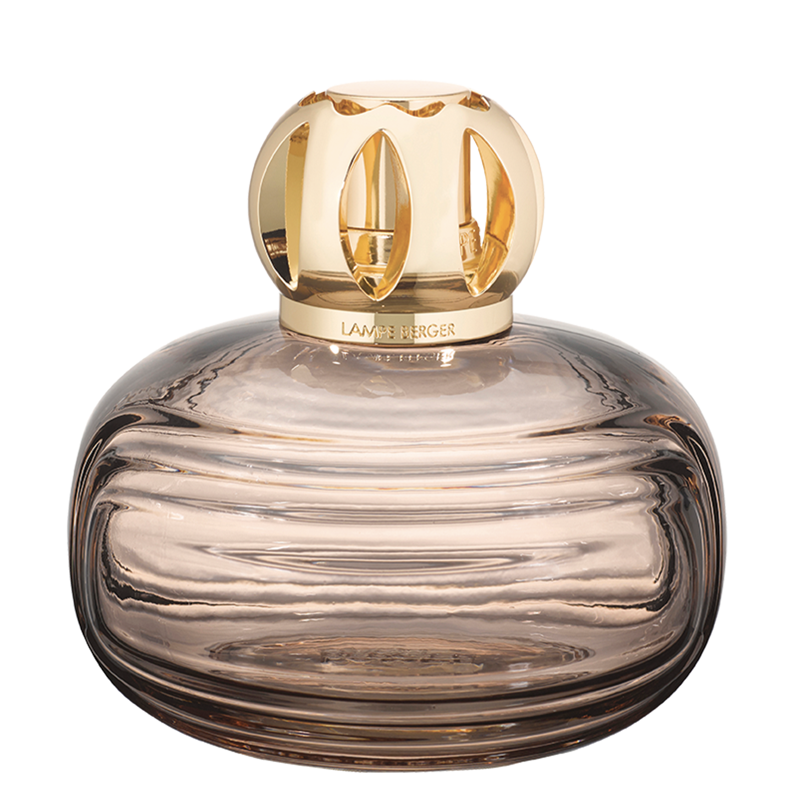 Enigma Marron Enigma Marron