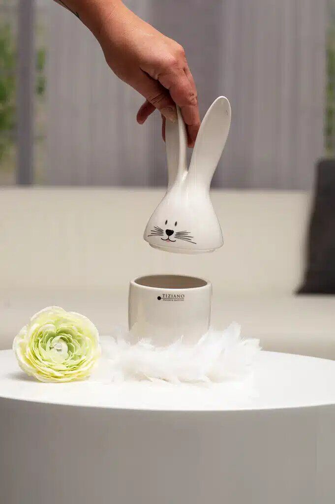 Dose Hase Frediano creme 25cm