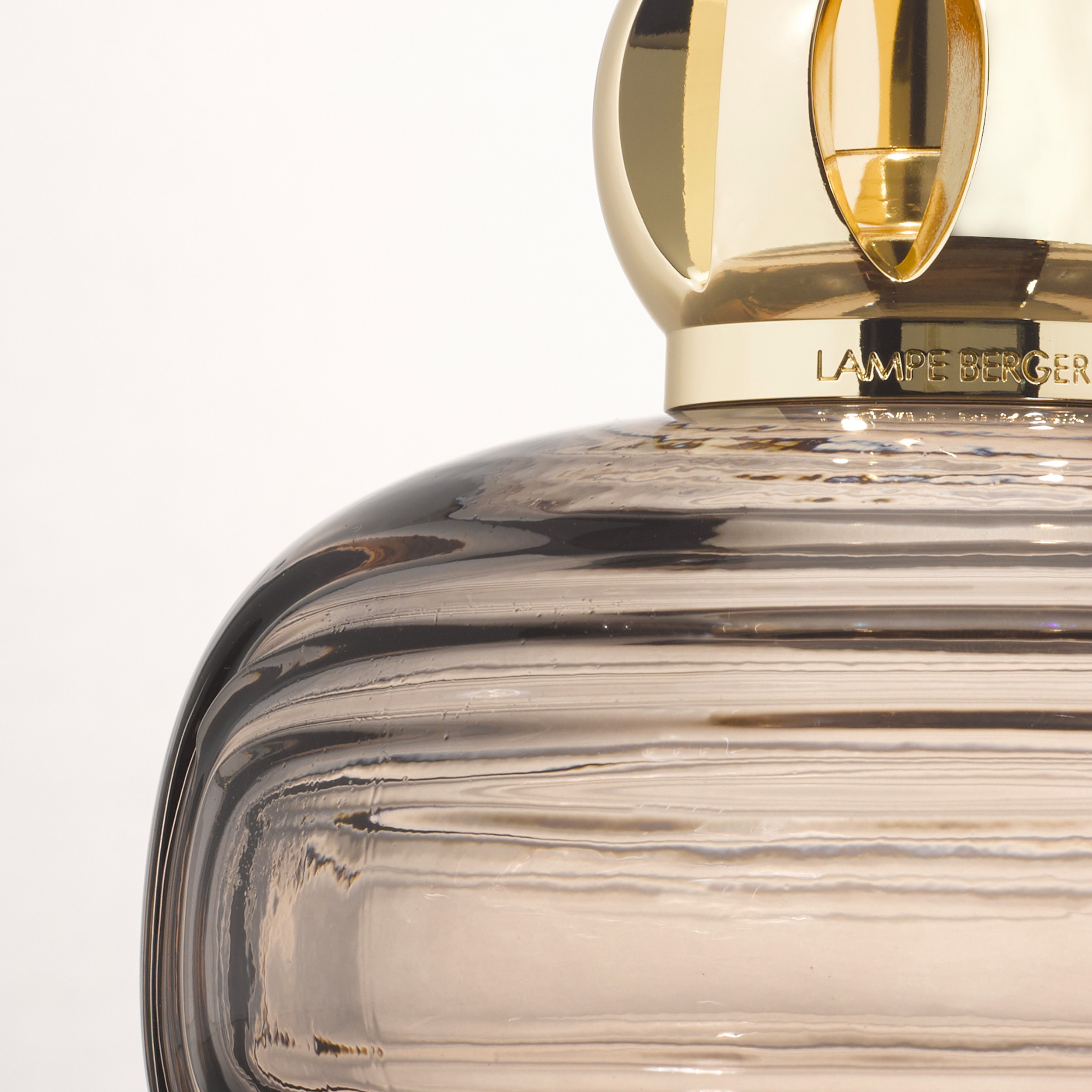 Enigma Marron Enigma Marron