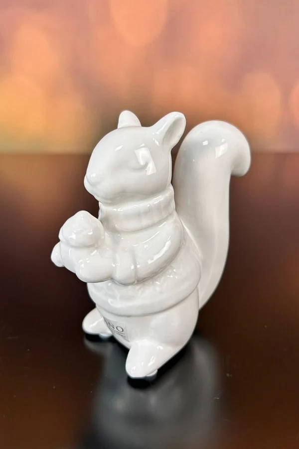Porzellankauz, Kleiner Eichhörnchen?