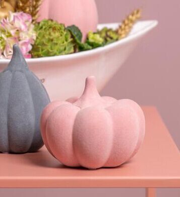 Koba-flach-rosa Kürbis Koba flach altrosa 10,5cm