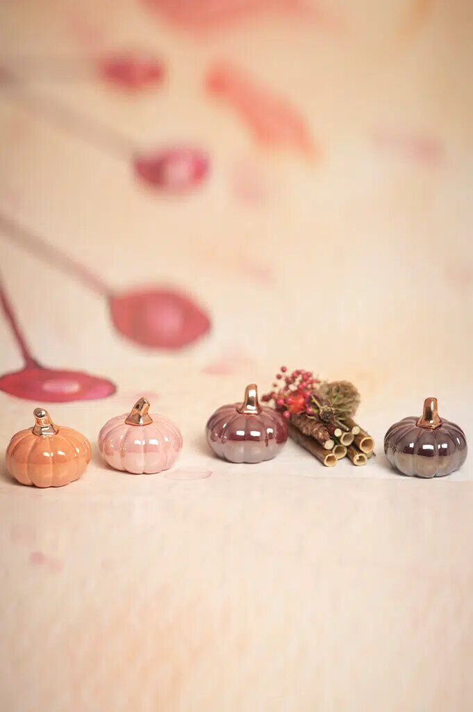 Minikürbis Boglia 11cm glory pink