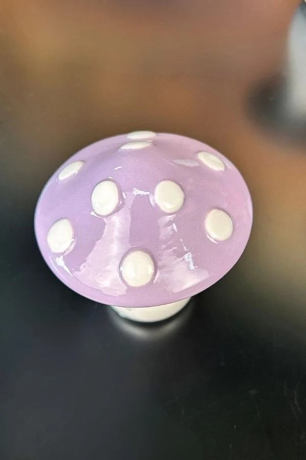 kleine knopf, lila farbe, mushroom knob, knopf, glänzend