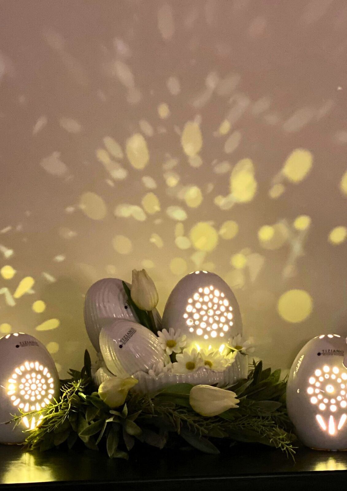 Blume, Blumen-Arrangement, Pflanze, Beleuchtung