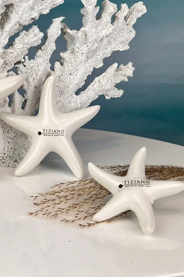Seestern Mirana 11cm cremeweiß